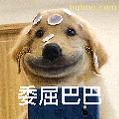 委屈巴巴金毛