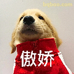 傲娇小狗