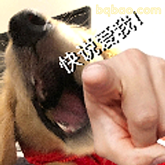 快说爱我！