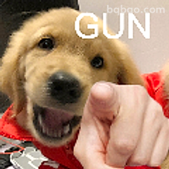 狗狗指枪表情包