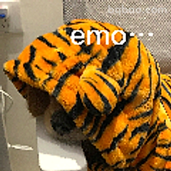 老虎头套emo中