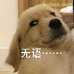无语金毛