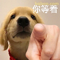 你等着小狗表情