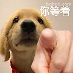 你等着小狗表情