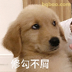 修勾不屑