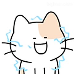 开心到冒汗的小猫