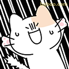 开心到飞起的小猫