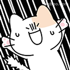 开心到飞起的小猫