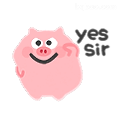 粉猪点头yes sir