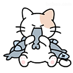 猫咪抱鱼超满足