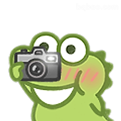 青蛙举相机拍照