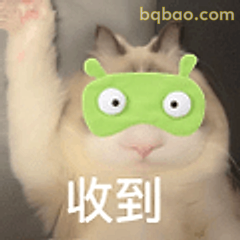 收到！猫猫举手