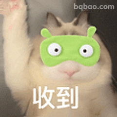 收到！猫猫举手