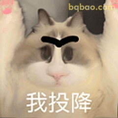 我投降猫咪表情