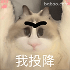 我投降猫咪表情