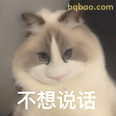 不想说话的猫
