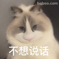 不想说话的猫