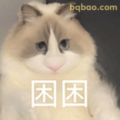 困困小猫