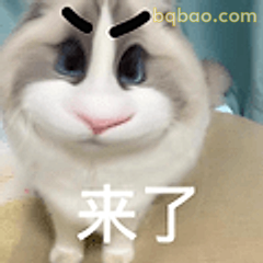 来了！小猫咪