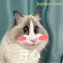 开心猫咪表情包
