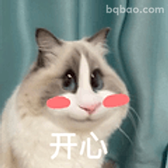开心猫咪表情包