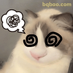 猫咪晕头转向