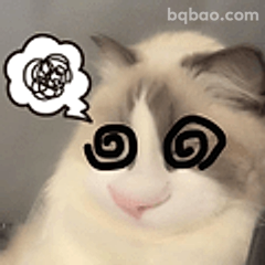 猫咪晕头转向
