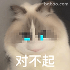 猫咪说对不起