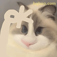 猫咪比OK手势