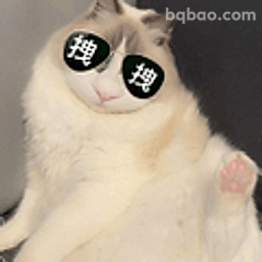 拽猫墨镜甩手