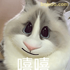 猫咪嘻嘻笑