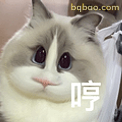 猫咪哼一声
