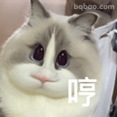 猫咪哼一声