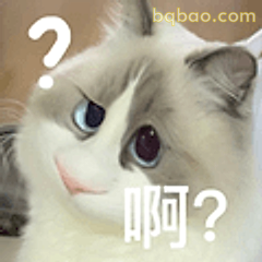 猫咪啊?表情包