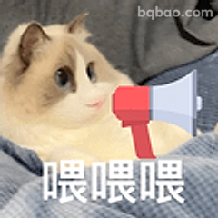 猫咪举喇叭喊喂喂喂