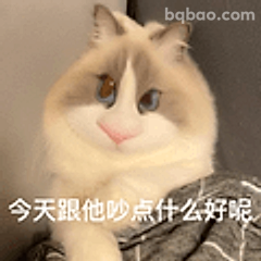 今天跟他吵点什么好呢