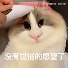 没有世俗的愿望了