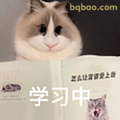 学习中别打扰我