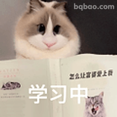 学习中别打扰我