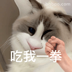 吃我一拳猫咪