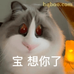 宝想你了