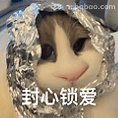 封心锁爱小猫