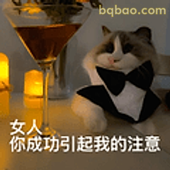 你成功引起我的注意