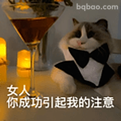 你成功引起我的注意