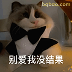 别爱我没结果