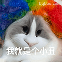 我就是个小丑