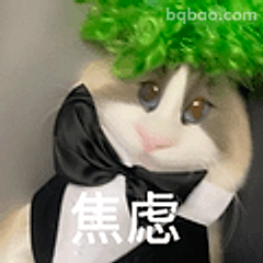 焦虑小猫戴绿假发