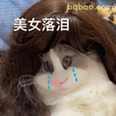 美女落泪猫咪