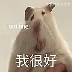 我很好但其实不行