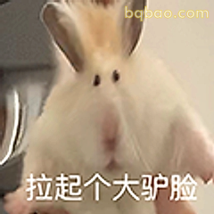 拉起个大驴脸